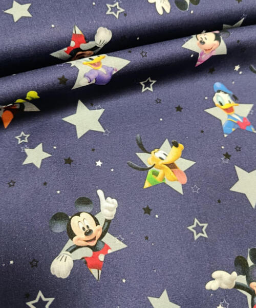 Popelín Disney